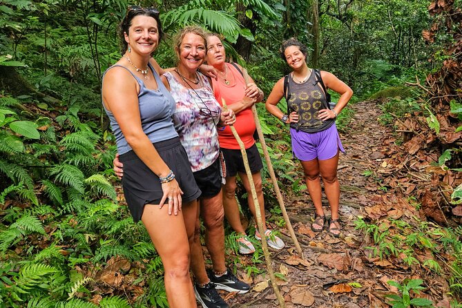 Mindfulness Rainforest Hike, Forest Bathing, Volcanic Hot Springs - The waterfall pool and the cold-plunge choice