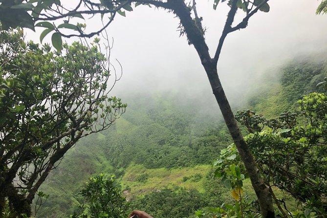 Mount Liamuiga Volcano Tours - What the Price Says About the Experience