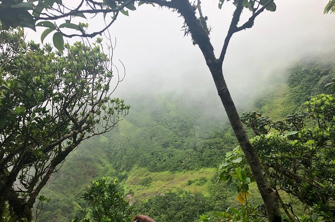 Mount Liamuiga Volcano Tours - Who Will Enjoy This Volcano Hike