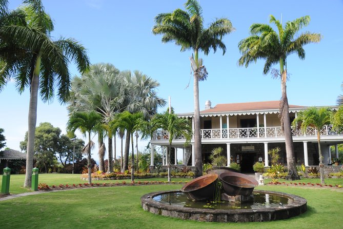 Nevis Island Half-Day Tour - Exploring Nevis by Air-Conditioned Vehicle
