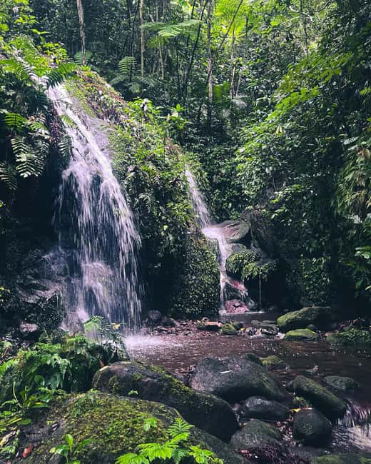 Nevis Waterfalls/Russel's Rest Hike - Walking into Nevis forest from Butlers and Maddens