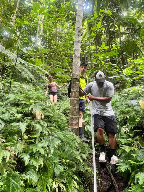 Nevis Waterfalls/Russel's Rest Hike - Should you book the Russel’s Rest hike?