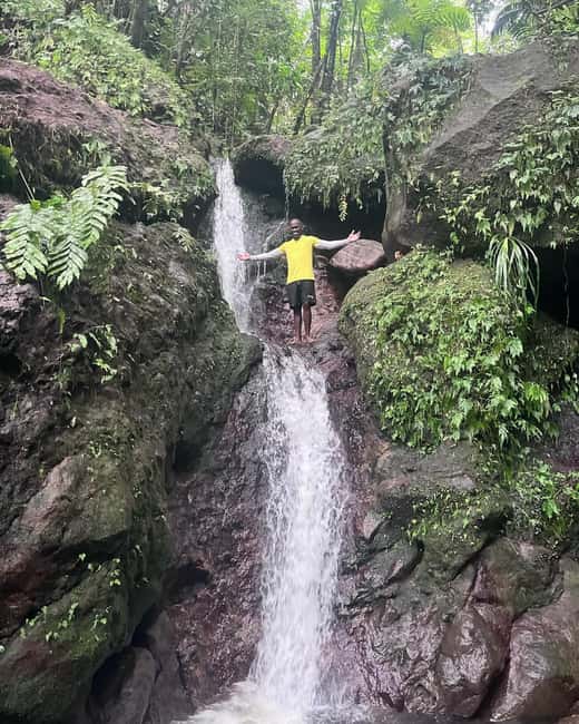 Nevis Waterfalls/Russel's Rest Hike - The forest is the main event