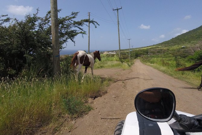 Off roading Morning Excursion - The briefing and first turn onto the trails
