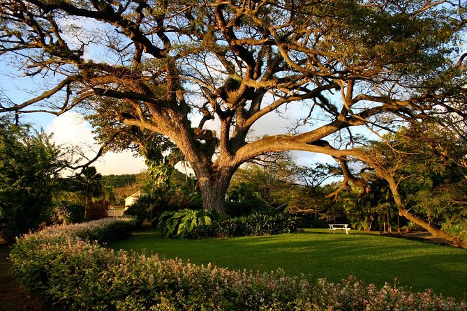 Panoramic Sightseeing Tour of St Kitts - Timothy Hill and the open-water views