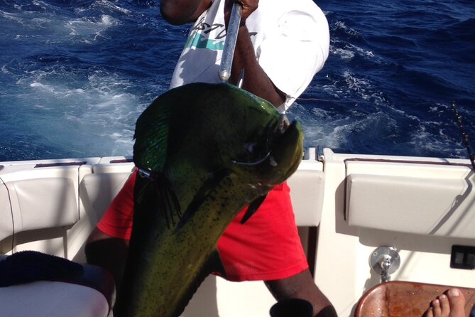 Private Fishing & Snorkel Charters in St Kitts and Nevis - Fishing options from trolling to bottom rigs