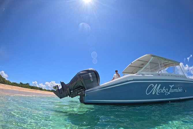 Private Power Catamaran Adventure in Saint Kitts and Nevis - Cruising from St. Kitts to Nevis