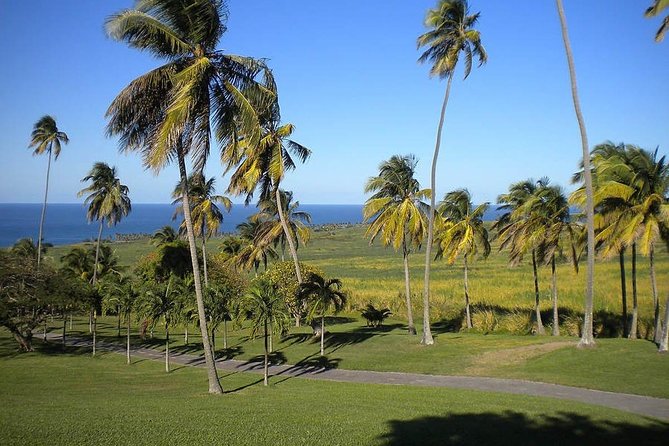 Private Tour in St. Kitts - Key points at a glance