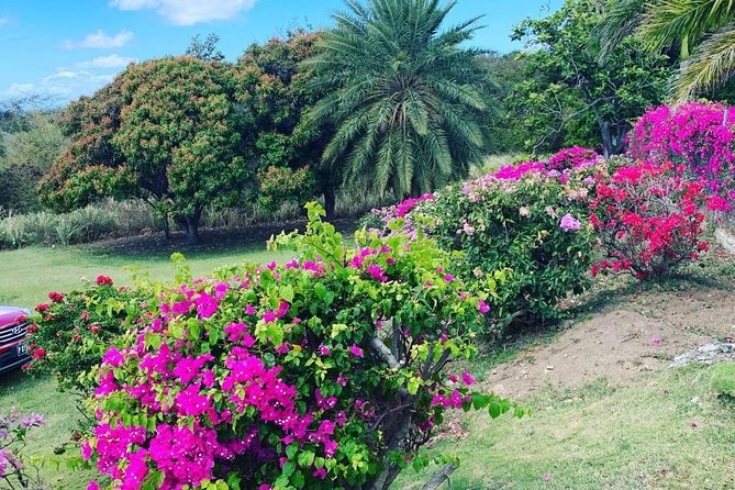 Private Tour in St. Kitts - Timothy Hill and the coast