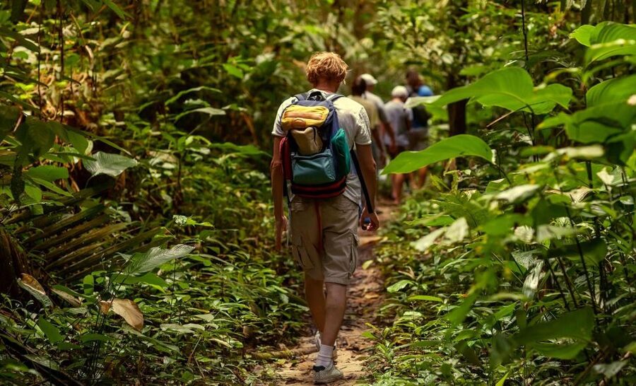 Rainforest Adventure - Key points to know before you go