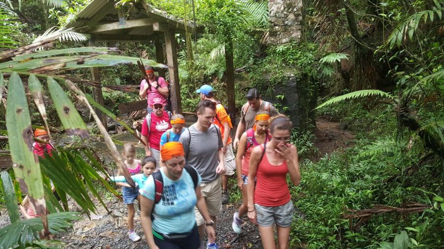Rainforest Adventure - The rainforest trail is the real test