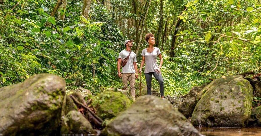 Rainforest Adventure - What the Old Road visit adds