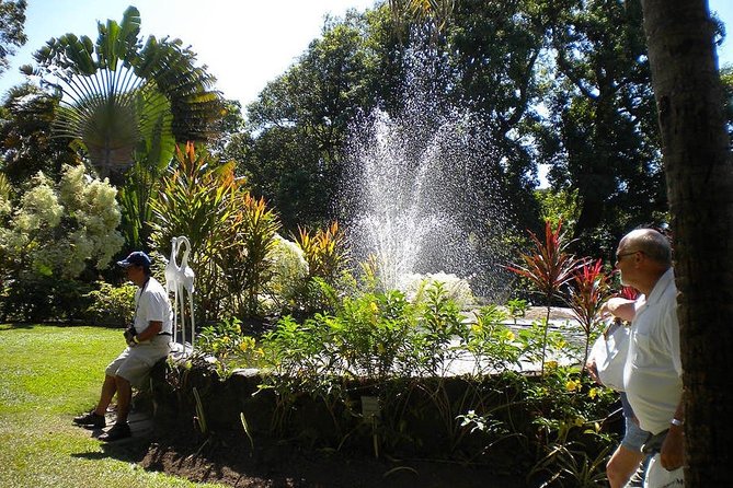 Rosevelt's Special Best of St. Kitts/Panoramic Tour - Cruise passengers should plan the timing carefully