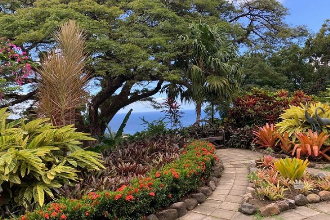 Rosevelt's Special Best of St. Kitts/Panoramic Tour - The guide can make or break the morning
