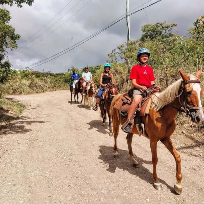 Scenic Horseback Trail - From Port Zante to the hillside trail