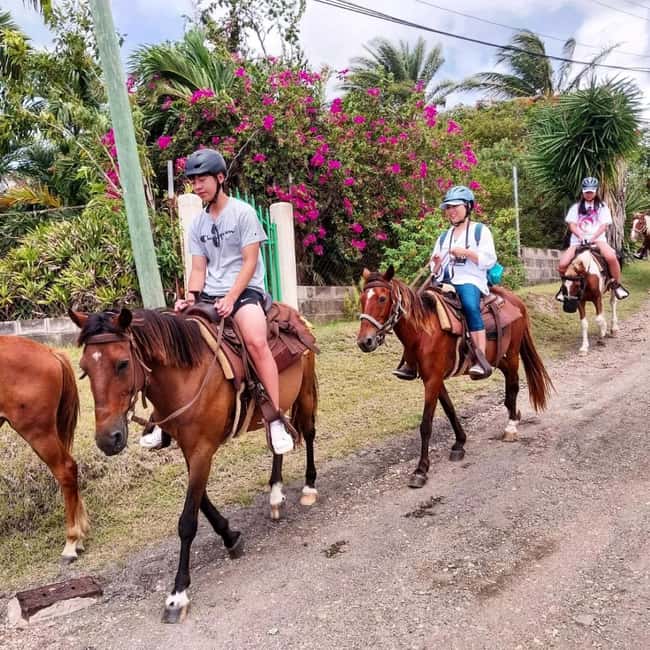 Scenic Horseback Trail - The return ride and refreshment stop