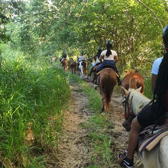 Scenic Horseback Trail - Practical tips for a smoother ride