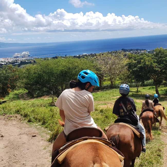 Scenic Horseback Trail - Getting comfortable with the horses