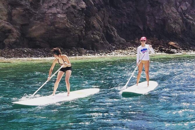 Scenic Stand-up Paddleboarding Adventure Tour - Is $80 a fair price?