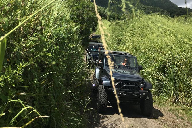 Self Drive 4x4 Off Road Jeep Wrangler & Beach Chill - Why the rough road is the point