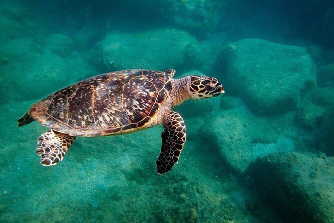 Snorkel Lunch & Lounge: Bluewater or Snorkel and Lunch: Leeward - Sailing from Port Zante into open water
