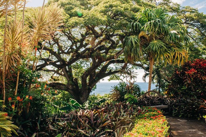 St. Kitts Full Island Excursion - Why this private St. Kitts route works well