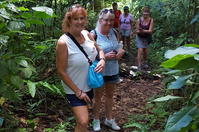 St Kitts Half-Day Rainforest Tour - Key points at a glance