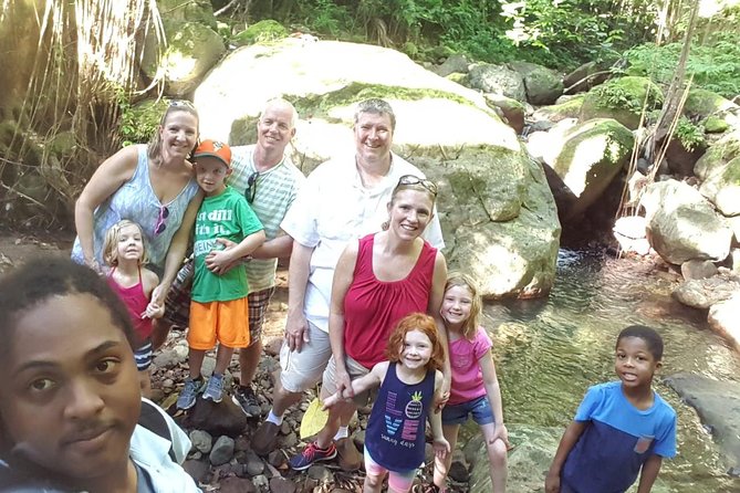 St Kitts Half-Day Rainforest Tour - Snacks, drinks, and the return ride