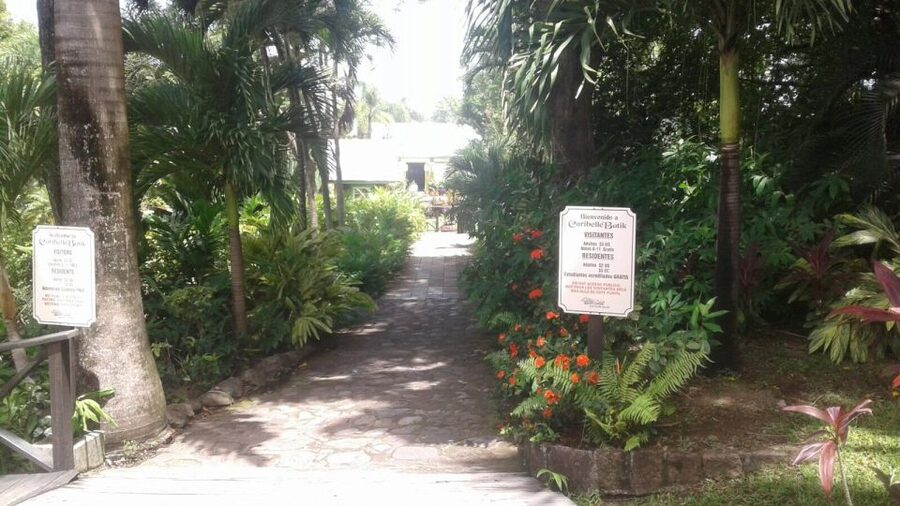 St. Kitts Island Half-Day Bus Tour - Brimstone Hill Fortress and the island’s past