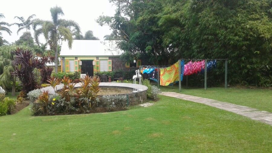 St. Kitts Island Half-Day Bus Tour - Timing, pickup, and practical planning