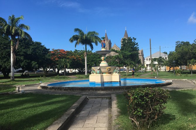 St Kitts Island Tour (Reconfirm Ship or Hotel) - What the guide adds to the day