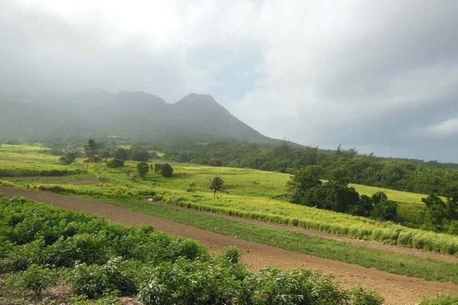 St Kitts: Jungle Bikes Off-Road ATV Tour - Pickup from the port or your accommodation