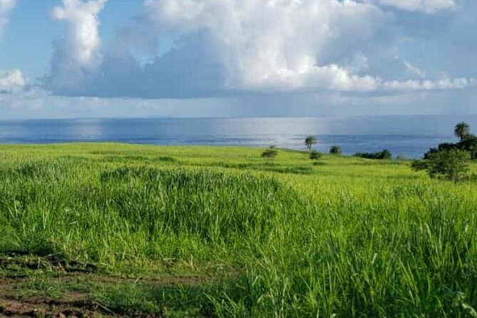 St Kitts Rainforest Nature Tour - Three hours is enough for a taste, not a full forest day