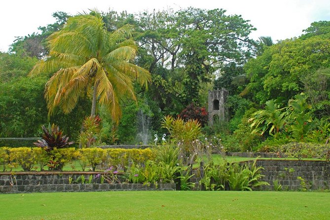 St Kitts Rainforest Tour - Booking, Changes, and Practical Limits