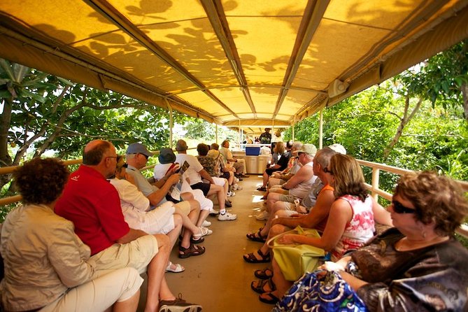 St Kitts Scenic Train Tour (Hotel or Ship) - A train ride through St. Kitts’ sugar country