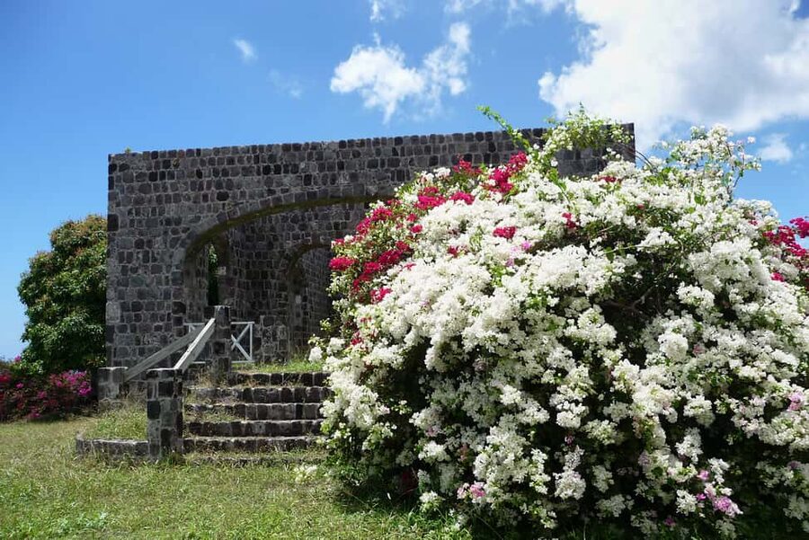 St. Kitts: Top Sights Guided Van or Open-Air Safari Tour - Key points to know before booking