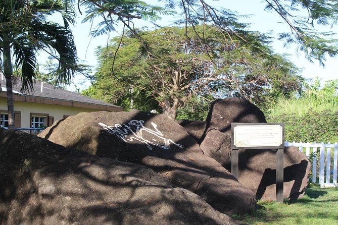 St Kitts Traditional Lunch & Half Day Island Tour - Wingfield Estate and a short rainforest walk