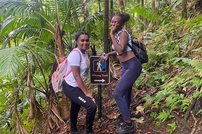 St.Kitts Volcano Hike To Mt. Liamuiga (Highest Peak On Island) - Is $69 a fair price?