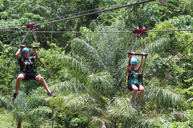 St. Kitts Zipline Experience - Five lines, one canyon, and a final race