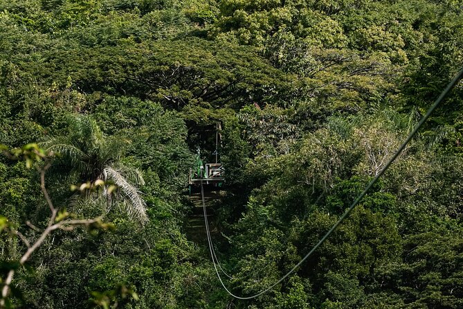 St. Kitts Zipline Experience - The safety briefing before the first cable