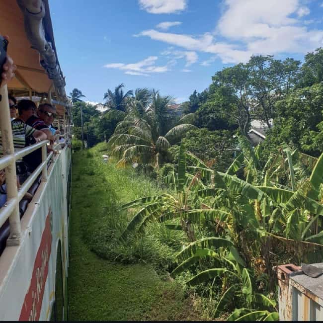 Sugar Train Tour & Drinks|Pick-Up &Drop Off From Cruise Port - What you see from the upper and lower decks