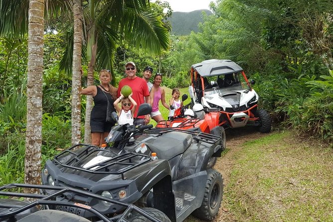 Sunny Blue Rentals in St Kitts for ATV and Dune Buggy Combo Tours - Choosing between an ATV and dune buggy