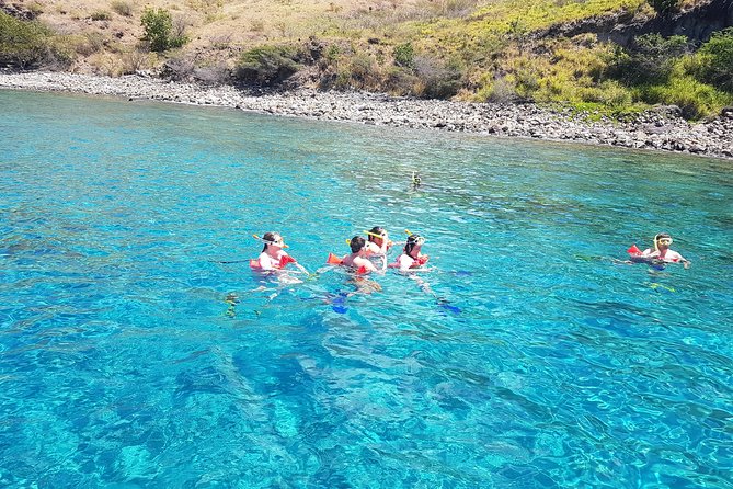SUP Paddle Board Adventure - Snorkeling for turtles, stingrays, and small reef life