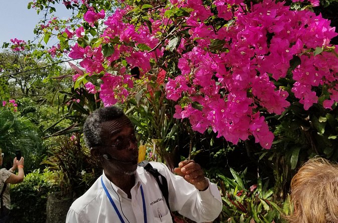 The Grand Tour of St. Kitts - The guides are the heart of the day