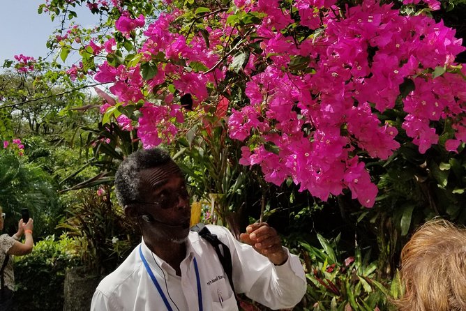 The Grand Tour of St. Kitts - Romney Manor adds gardens, craft, and local character