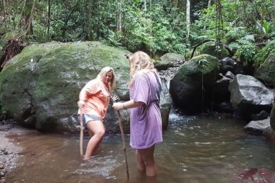 Tropical Rain Forest Explorer Hike In St. Kitts