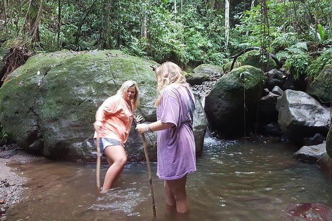 Tropical Rain Forest Explorer Hike In St. Kitts - What you learn beside the Wing Field River