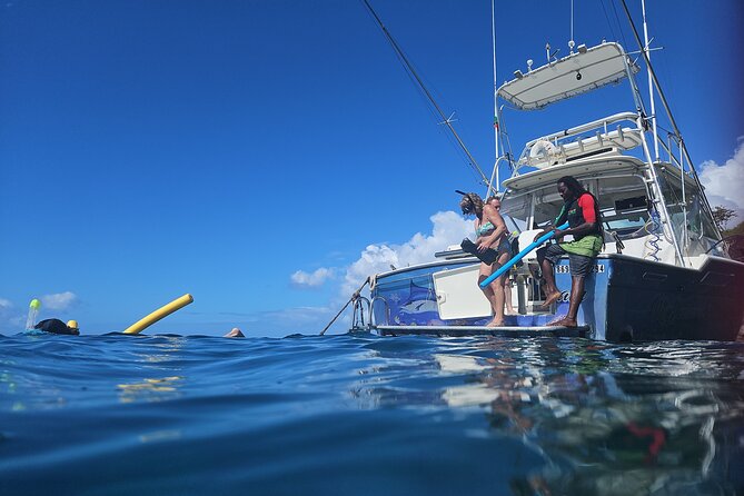 VIP Private Guided Scuba Diving/Snorkeling Excursion - Why this works for mixed groups