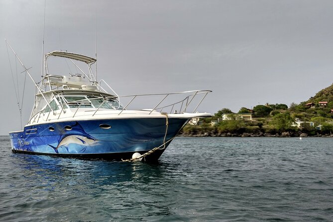 VIP Private Guided Scuba Diving/Snorkeling Excursion - How the price compares with the experience