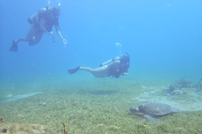 VIP Private Guided Scuba Diving/Snorkeling Excursion - What the coastal cruise adds